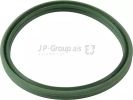 Seal Ring, turbo air hose JP GROUP 1117750100